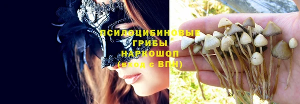 spice Алзамай