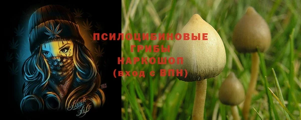 прущие крисы Нязепетровск