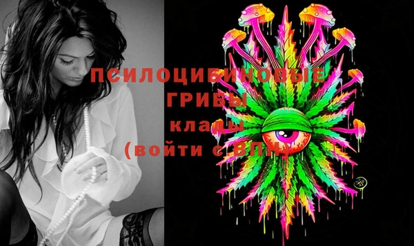 молекула духа Алексеевка