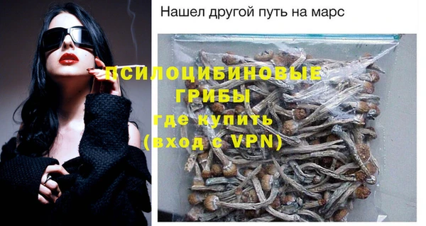 МДМА Няндома