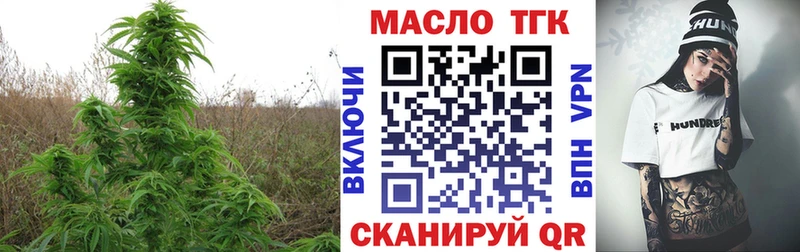 ТГК THC oil магазин продажи наркотиков дарк нет как зайти Сунжа МЕГА как войти