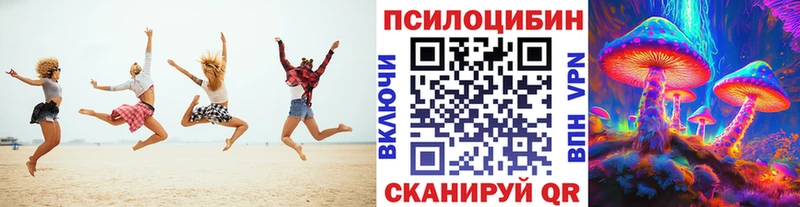 Псилоцибиновые грибы мухоморы  блэк спрут вход  Сунжа 
